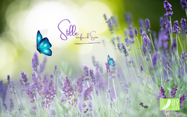 Stille Kurs