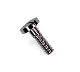 Omega 861 - 2553 Vite Cassa - Swiss Made - Compatibile