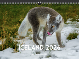 Wandkalender ICELAND 2026 A3 - seidenmatt