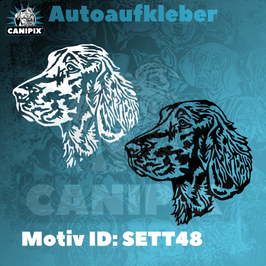 Aufkleber Setter 48
