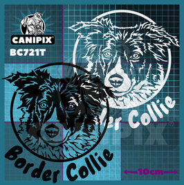 Aufkleber  Border Collie 721 T