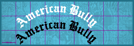 Gebogene Textzeile für die Heckscheibe "Old English" 55cm American Bully