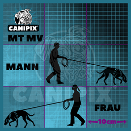 Aufkleber Mantrailing Vizsla
