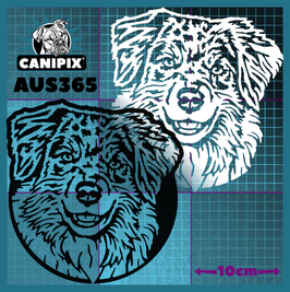 Aufkleber  Australian Shepherd 365