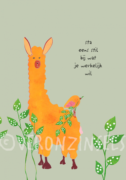 STILSTAAN - VERONZINSELS (B252)