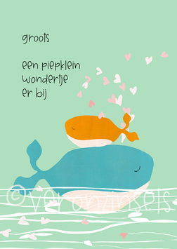 GROOTS - VERONZINSELS (B162)