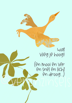 HOOGVLIEGER - VERONZINSELS (B186)