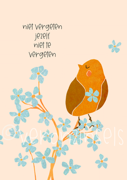 NIET VERGETEN - VERONZINSELS (B305)
