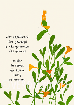 REIKEN - VERONZINSELS (215)