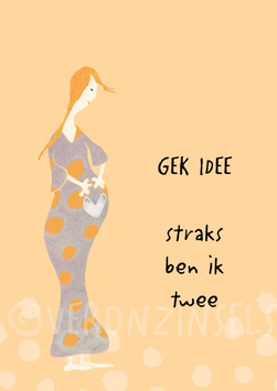 GEK IDEE - VERONZINSELS (P088)