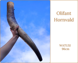 Hornvald - Olifant Watusi de 96 cm