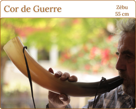 Cor de Guerre en Zébu