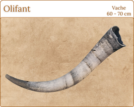 Olifant brute en Vache - 60 à 70 cm