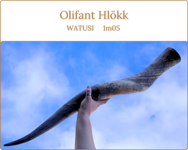 Hlökk - Olifant Watusi de 1m05