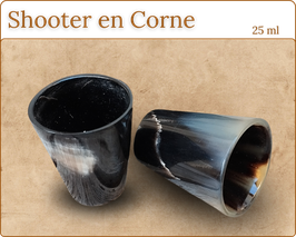 Shooter en Corne