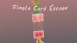 〈DL〉Simple Card Escape / シンプル カード エスケープ by Dingding