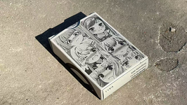 AHEGAO V4 Playing Cards / アヘ顔 デック（V4）
