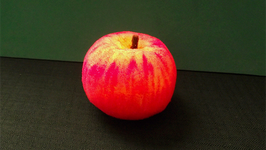 スポンジ イミテーション【りんご】 / Sponge Imitation Series - Apple