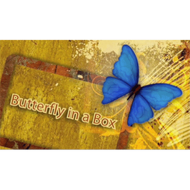 Butterfly In a Box / バタフライ・イン・ボックス
