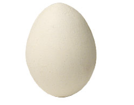 Wooden Egg（木製卵）