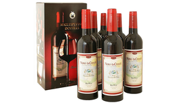 Multiplying Wine Bottles - #6 Professional / マルチプライング ボトル プロフェッショナル（６本）by Vincenzo Di Fatta