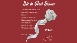 Silk to Real Flower / シルク to リアル フラワー（プレゼントOK）【白リボン】