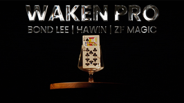 WAKEN PRO / ウェイクン プロ（電動 ホーンテッドデック）