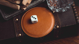 Winner's Dice Gimmicked Coaster / ウィナーズ ダイス専用コースター