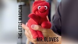 MR. GLOVES / ミスター グローブ