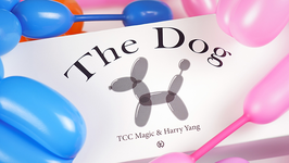 The Dog / ドッグ（バルーンアートxカード）by TCC