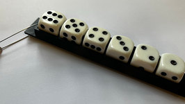 Missing Number Dice / ミッシング ナンバー ダイス（ホルダー付）