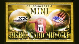 Mini Card Rise Miracle / ミニカード ライズ ミラクル（非電動）