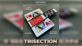 TRISECTION / トライセクション（カード ジグザグ）