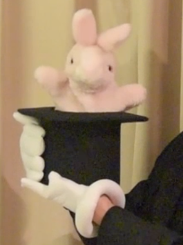 Bunny in the hat / 帽子ウサギ パペット