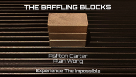 The Baffling Blocks / バフリング ブロック（重さのパラドックス）