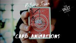 Card Animations / カード アニメーション by Patricio Teran