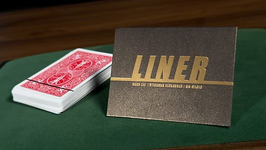 LINER / ライナー（ペン書き線の飛行）【赤裏】