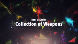 〈DL〉Dani's Collection of Weapons / ダニ コレクション オブ ウェポンズ by Dani DaOrtiz