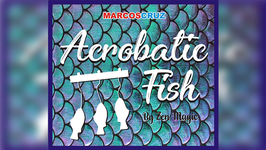 ACROBATIC FISH / アクロバティック フィッシュ