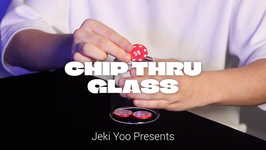 C.T.G. (Chip Thru Glass) / チップ スルー グラス