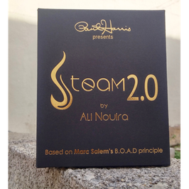 Steam 2.0 / スチーム 2.0