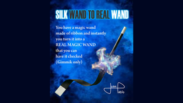 Silk Wand to Real Wand / シルク ウォンド to リアル ウォンド