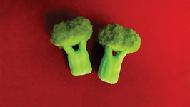 スポンジ イミテーション【ブロッコリ２個】 / Sponge Imitation Series -Broccoli "pcs