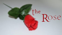 〈DL〉The Rose / ローズ（薔薇の出現）by Sandro Loporcaro
