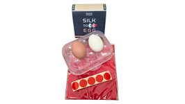Silk to Egg by Michael Ammar / シルク to エッグ（マイケル アマー解説）