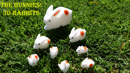 The Bunnies! 3D Rabbits / 3Dラビット スポンジ（大中小８個セット）