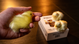 THE FINAL LOAD (Baby Chicks) / ファイナルロード（ひよこ人形３体）