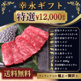 【送料込】特選12,000円ギフトセット