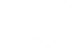 Basiskurs Tierkommunikation "Verbindung fühlen"