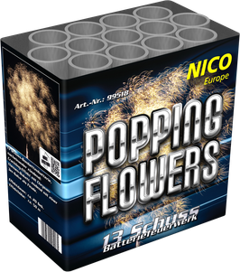 Popping Flowers, 13 Schuss